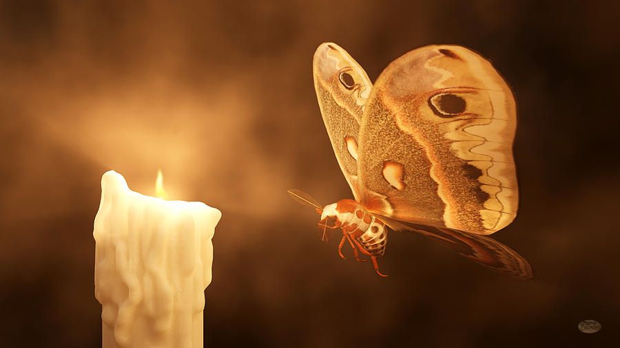 Heartbeat X: Rehat as a Transformation for the Beloved
